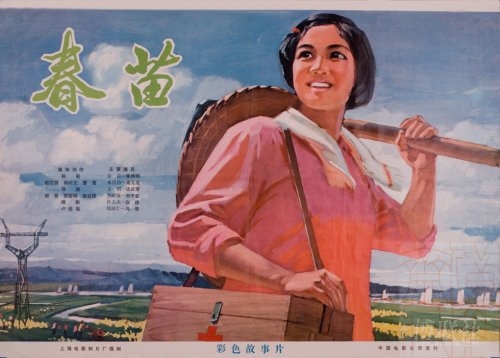 在职证明作假